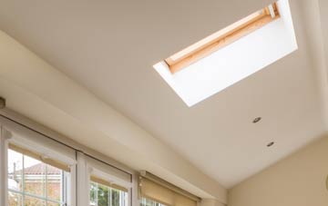 Lochdon conservatory roof insulation companies
