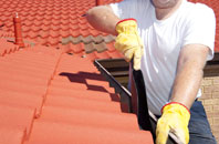 Lochdon roof cleaners